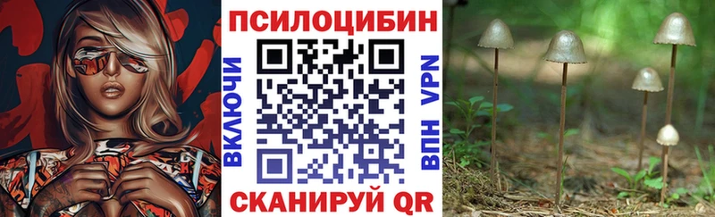 Псилоцибиновые грибы мухоморы  хочу наркоту  Екатеринбург 